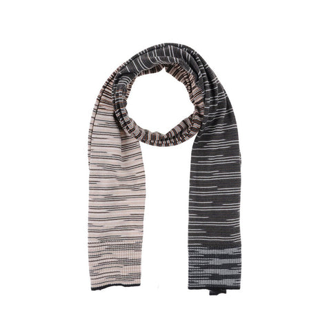 Donec condimentum fer